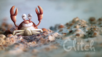 The Simple Glee of a Flattered Crab