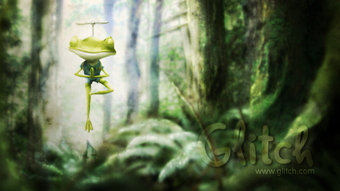 Yoga Frog Deepens his Practice in a Wooded Glen